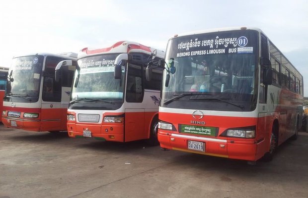 Bus