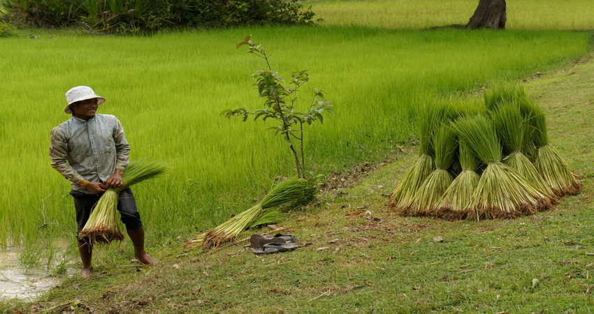 4 Days All Major Temples & Kbal Spean & Koh Ker & Beng Mealea